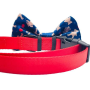 Teddy Bear - Cutie Ties Dog Bow Tie - One Size
