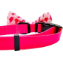 Ice Pops - Cutie Ties Dog Bow Tie - One Size