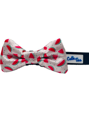Watermelon - Cutie Ties Dog Bow Tie - One Size