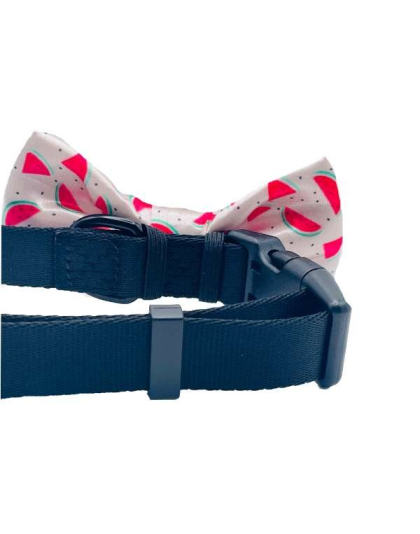 Watermelon - Cutie Ties Dog Bow Tie - One Size