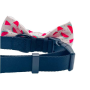 Watermelon - Cutie Ties Dog Bow Tie - One Size
