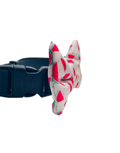 Watermelon - Cutie Ties Dog Bow Tie - One Size