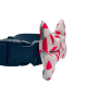 Watermelon - Cutie Ties Dog Bow Tie - One Size