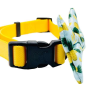 Tropic Like It's Hot - Cutie Ties Dog Bow Tie - One Size