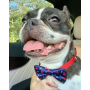 Red, White and Bones - Cutie Ties Dog Bow Tie - One Size