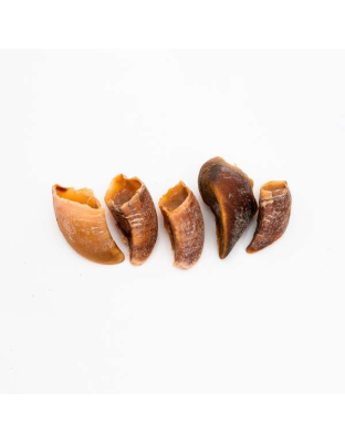 Platinum Pet Treats - Beef Hooves (Pack of 5) - 5 Pack