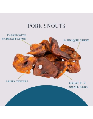 Platinum Pet Treats - Pork Snouts (Pack of 10)