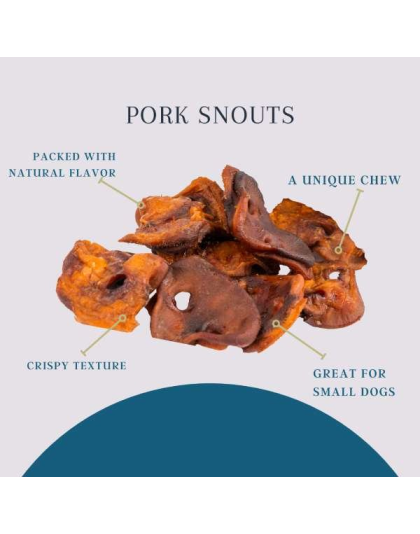 Platinum Pet Treats - Pork Snouts (Pack of 10)