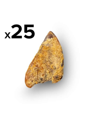 Platinum Pet Treats - Super Pig Ears (Pack of 25) - 25 Pack