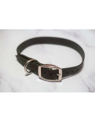 Hunter Green - Biothane Buckle Dog Collar - Large 15-17 inches