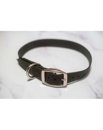 Hunter Green - Biothane Buckle Dog Collar - Large 15-17 inches