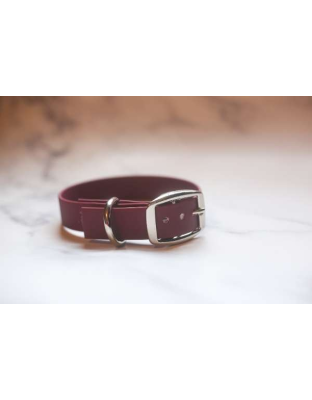 Lavender - Biothane Buckle Dog Collar - Small/Medium 12-14 inches