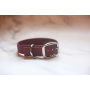 Lavender - Biothane Buckle Dog Collar - Small/Medium 12-14 inches