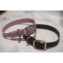 Lavender - Biothane Buckle Dog Collar - Small/Medium 12-14 inches