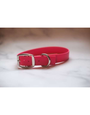 Red - Biothane Buckle Dog Collar - Medium 13-15 inches
