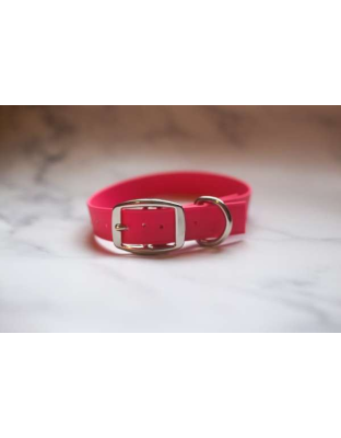 Red - Biothane Buckle Dog Collar - Small/Medium 12-14 inches