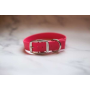 Red - Biothane Buckle Dog Collar - Small/Medium 12-14 inches