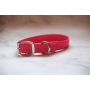 Red - Biothane Buckle Dog Collar - Small/Medium 12-14 inches
