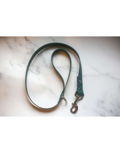 Teal - Biothane Leash - 4 feet