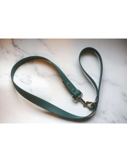 Teal - Biothane Leash - 4 feet