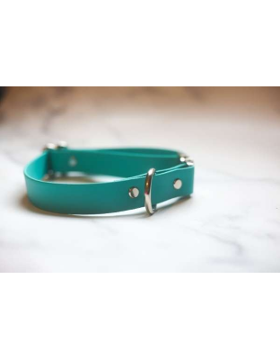 Teal - Biothane Quick Release Collar - Large 16-21 inches