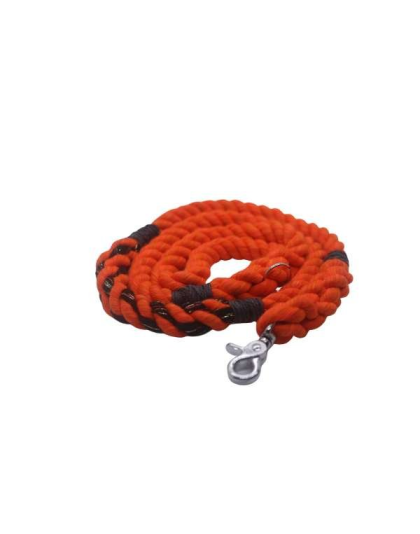 Halloween - Halloween Leash - 5 ft
