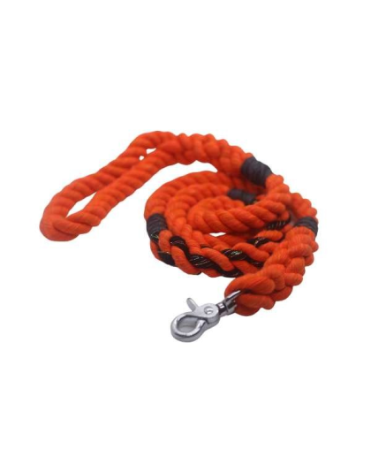 Halloween - Halloween Leash - 5 ft