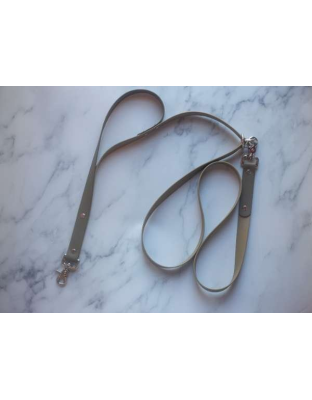 Sahara with OD Green - Hands Free Biothane Leash - 7 ft