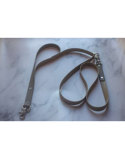 Sahara with OD Green - Hands Free Biothane Leash - 9 ft