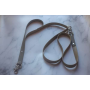 Sahara with OD Green - Hands Free Biothane Leash - 9 ft