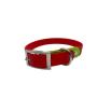 Holiday - Holiday Biothane Buckle Dog Collar - Large/XL 16-18 inches