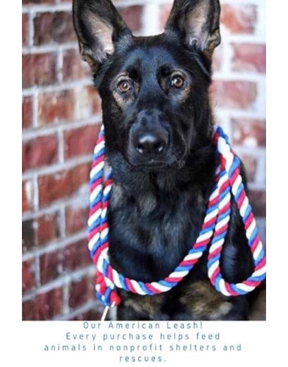 American  - Knotted Rope Dog Leash - 4 ft