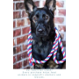 American  - Knotted Rope Dog Leash - 4 ft