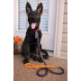 Black and Orange Ombre  - Rope Dog Leash - 4 ft