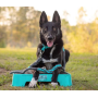 Grey and Aqua 2 - Rope Dog Leash - Traffic Lead (2 ft)