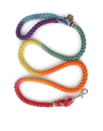 Rainbow  - Rope Dog Leash - 4 ft