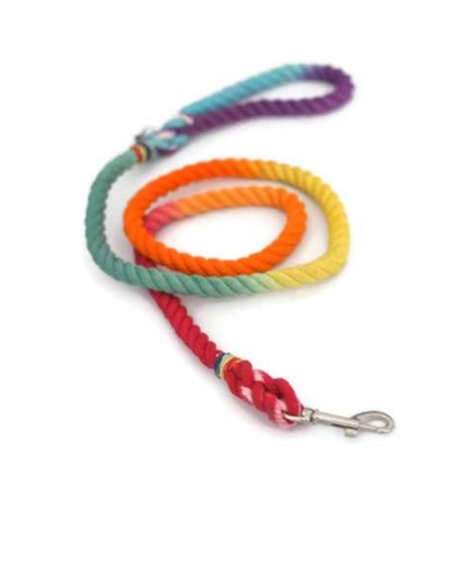 Rainbow  - Rope Dog Leash - 4 ft