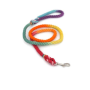 Rainbow  - Rope Dog Leash - 4 ft