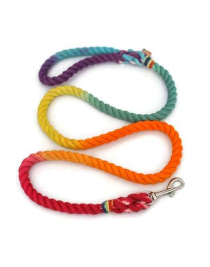 Rainbow  - Rope Dog Leash - 4 ft