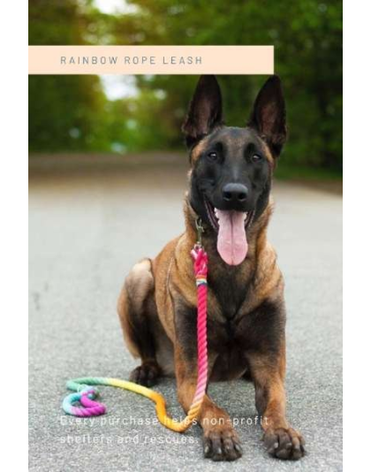 Rainbow  - Rope Dog Leash - 4 ft