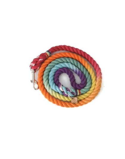 Rainbow  - Rope Dog Leash - 5 ft