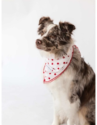 Seersucker Dots - Buddy Dog Bandana - L