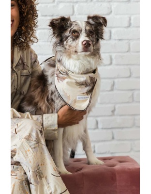 Maple - Buddy Dog Bandana - S