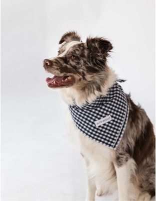 Navy Gingham  - Buddy Dog Bandana - L
