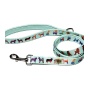 Seafoam - Dog Leash  - Small