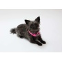 Pink - Silicone Cuttable LED Illuminated Dog Collar - USB Rechargeable