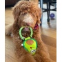 Avo Doggo