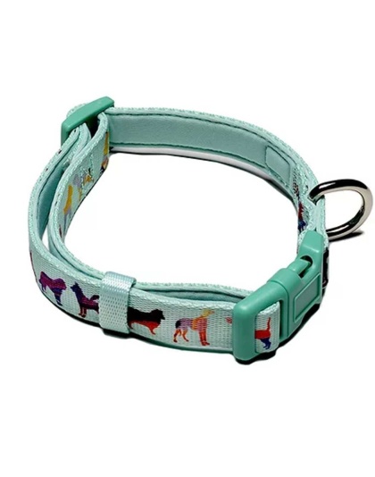 Seafoam - Dog Collar  - Large- adjustable