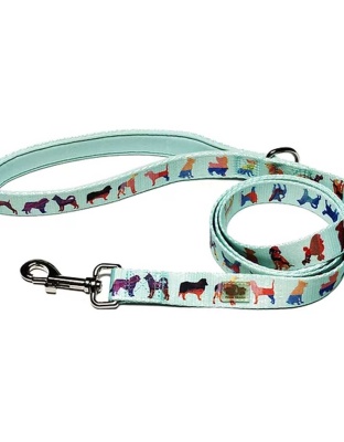 Seafoam - Dog Leash  - Large