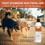 Classic's Medicated Pet Shampoo - Veterinary Treatment Against Ringworm, Mange, Lice, and Dry Skin - 8 fl oz